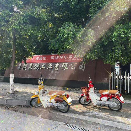 嘉陵coco|解锁嘉陵厂|修车记录