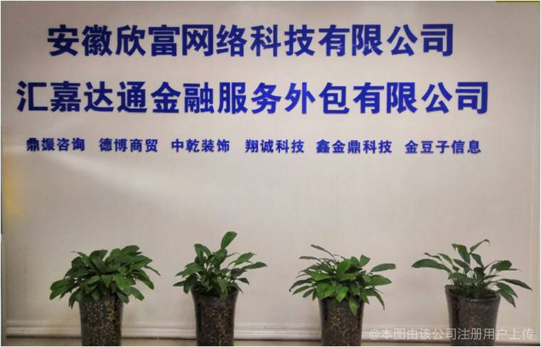 欣富网络